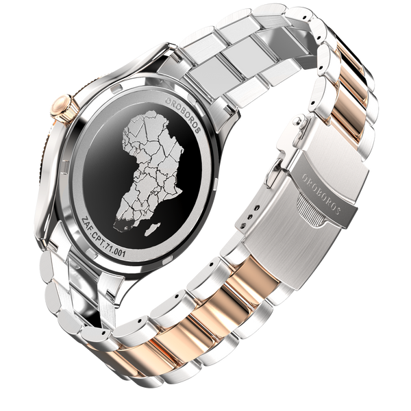 Watch shops in town top